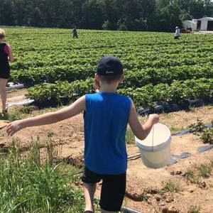 Meet your Posher, Lance